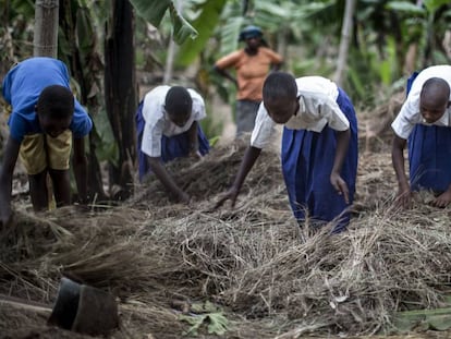 Alumnos de una escuela de Rumuso, en Tanzania, utilizan hojas secas para cubrir el suelo y evitar la erosión del terreno.