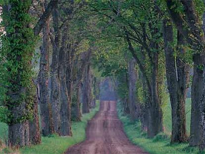 Paisaje de Scania, en Suecia.
