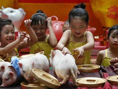 Crianças brincam com porquinhos em Manila, nas Filipinas.