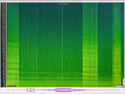 Espectograma de la vocalización de un delfín nariz de botella grabada por el hidrófono del proyecto Interreg-Soundscape controlado por  la ONG Fundación Cetacea en Rímini (Italia). Muestra las frecuencias de los sonidos en un rango que abarca desde pocos hercios hasta 10 kilohercios. Las frecuencias de los sonidos de origen humano suelen situarse en los valores bajos, mientras que las de origen natural ocupan la franja más alta. En la imagen se distingue la vocalización de un delfín nariz de botella; las bandas amarillas continuas indican la presencia del motor de un barco cuyo sonido satura prácticamente todo el espectro, tapando cualquier otra señal. 