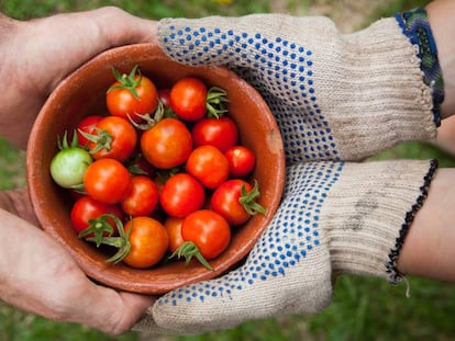 La pandemia debe transformar la agricultura global