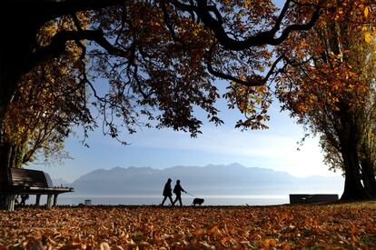 Una pareja pasea con su perro en una tarde inusualmente cálida de noviembre a orillas del lago Lemán, cerca de Lausana (Suiza).