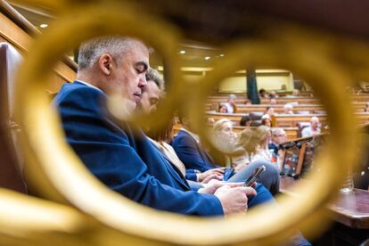 Santos Cerdán, en la sesión de control al Gobierno de este miércoles en el Congreso.
