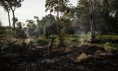 Terrenos destruidos de la comunidad campesina Guayaqui Cua, en Paraguay. 