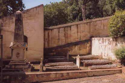 Cementerio Inglés de Málaga. Tras el portón de entrada, flanqueado por los leones del imperio británico y la vivienda neogótica del enterrador, se abre una estampa de cuidadas sepulturas.