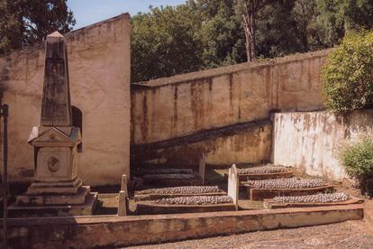 Cementerio Inglés de Málaga. Tras el portón de entrada, flanqueado por los leones del imperio británico y la vivienda neogótica del enterrador, se abre una estampa de cuidadas sepulturas.  