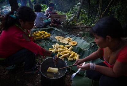 A área abriga cerca de 800 indígenas, que vivem em duas glebas pequenas e " espremidas". O terreno em questão é onde a comunidade planta alimentos como milho, mandioca, mamão e batata doce. Na foto, mulheres da comunidade cozinham mandioca e milho.