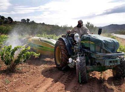 Un agricultor fumiga su viñedo en la comarca de la Terra Alta (Tarragona).