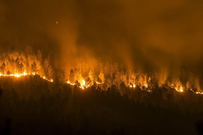 Han ardido 1.500 hectáreas en el fuego de Oímbra, 800 en Muíños, 500 en Boborás, 400 en Lobios y más de 50 en Lobeira. En la imagen, vista del incendio forestal declarado en la localidad orensana de Entrimo, el 6 de septiembre.