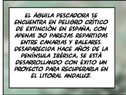 Ramón