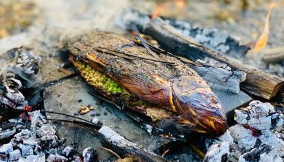 La carpa con guisantes y cebada, una receta de hace sólo 8.000 años. 