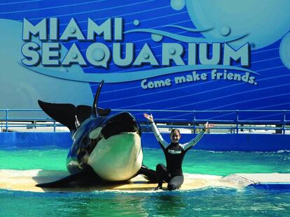 Miami Seaquarium de Parques Reunidos