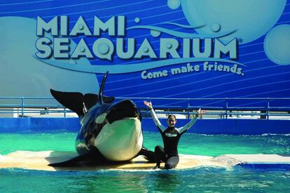 Miami Seaquarium de Parques Reunidos