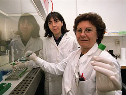 Mari Paz Martín (izquierda) y María José Iturralde, en el Instituto Nacional de Toxicología en Madrid.