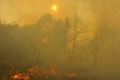 Los incendios quemaron más de 40 hectáreas, según el balance provisional de Medio Rural