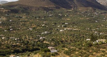 Una vista de viviendas ilegales en Alcauc&iacute;n (M&aacute;laga).