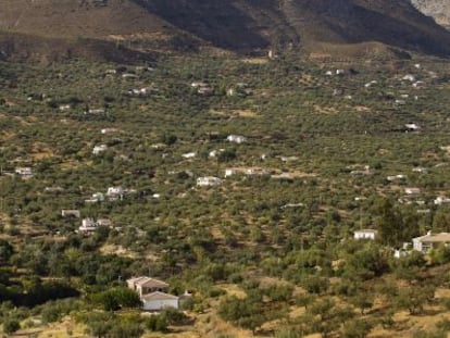 Una vista de viviendas ilegales en Alcauc&iacute;n (M&aacute;laga).