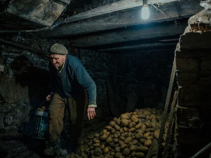 Domingo recoge patatas para hacer la comida. Tiene 88 años y vive solo en una aldea aislada, llamada A Fonsagrada.