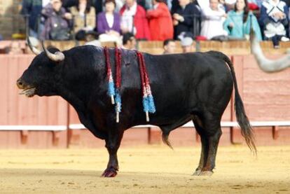 <i>Arrojado,</i> el toro que fue indultado ayer en la Maestranza