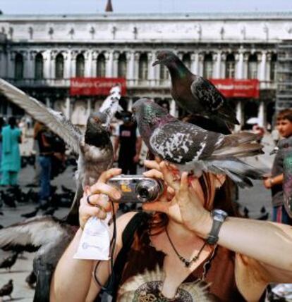 Una foto entre palomas.