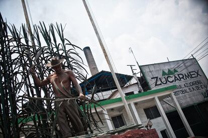 Aunque existe maquinaria para realizar la faena de la zafra, en la mayor parte del país aún se corta con machete. Un solo trabajador puede desmontar hasta 5 o 6 toneladas de caña al día.En la imagen, el monumento al cañero situado delante del Ingenio San Cristóbal.