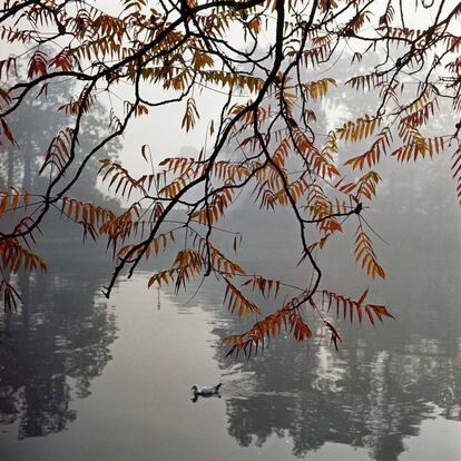 'Bois de Boulogne'. París. Octubre, 1960.