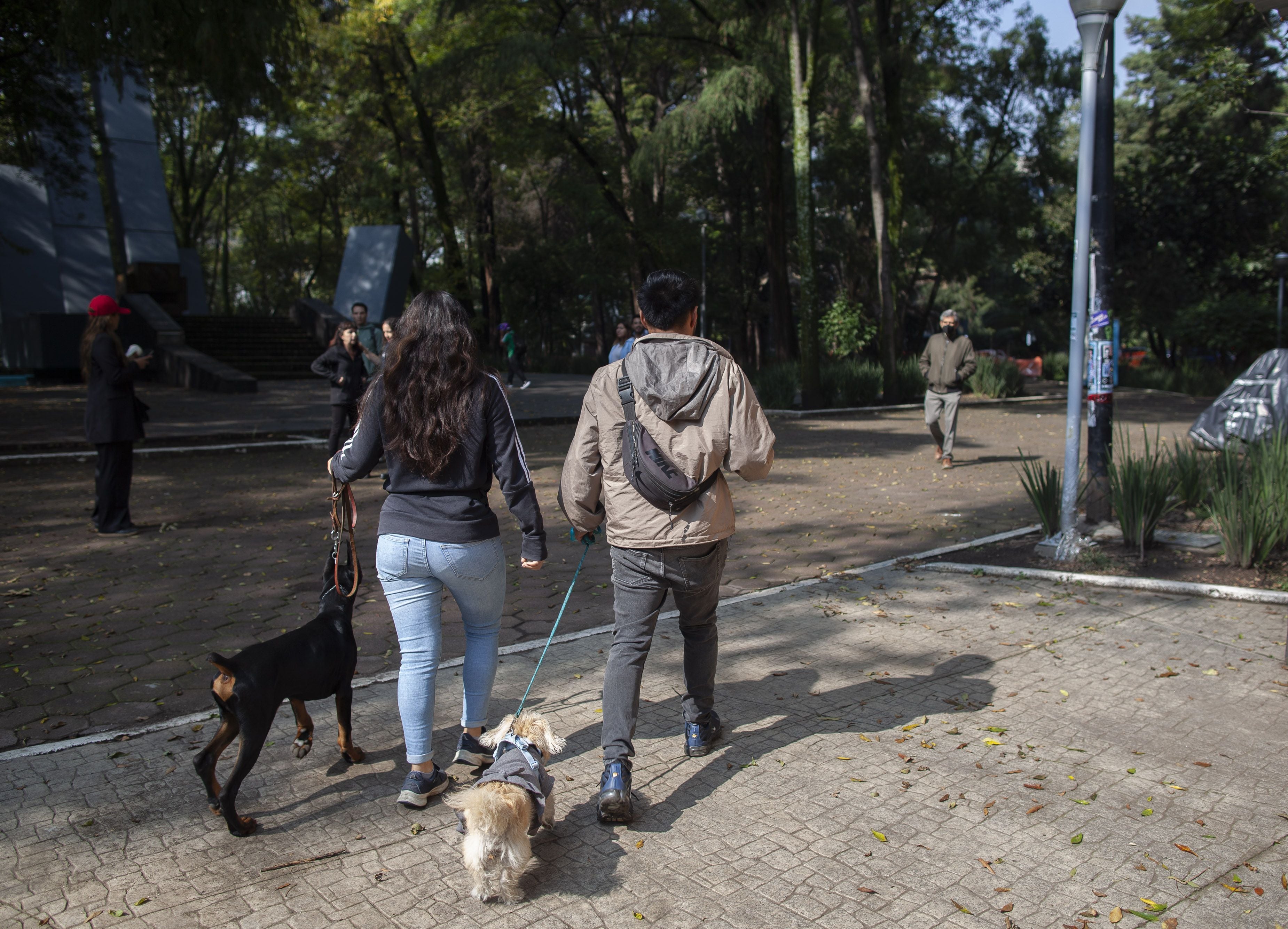 El crimen que atemoriza el barrio Condesa de Ciudad de México: tres perros envenenados y dos heridos