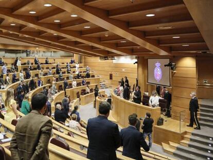 Minuto de silencio en recuerdo de las víctimas de Covid-19 al inicio de una sesión de control al Gobierno en el Senado, el pasado 14 de julio.