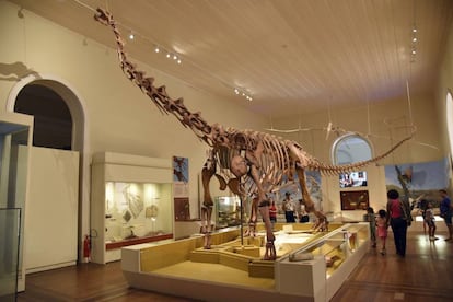 Fóssil de dinossauro exposto no Museu Nacional, destruído em incêndio no dia 2 de setembro.