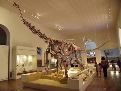 Fóssil de dinossauro exposto no Museu Nacional, destruído em incêndio no dia 2 de setembro.