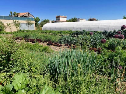 El navazo Cultivo Desterrado con su invernadero / Capel
