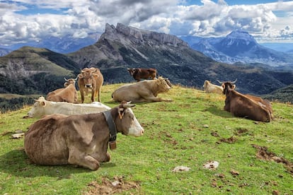 Declared a national park in August 1918 and a world heritage site in 1997, Ordesa y Monte Perdido is a landscape of contrasts located in the Sobrarbe region of the Pyrenees. Its high ground is arid and snowy, while below in the valleys there are forests, meadows, waterfalls and gullies. Towering over the park is the Monte Perdido massif at 3,355m with its Tres Sorores peaks (three sisters), which give way to the Ordesa valleys of Pinetam Añisclo and Escuaín.