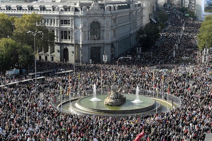 Decenas de miles de personas, 200.000 según la delegación del Gobierno; 670.000 según los convocantes, han marchado este domingo en cuatro columnas, que han salido desde Nuevos Ministerios (zona norte), el Hospital de la Princesa (zona este), Atocha (zona sur) y Ópera (zona oeste), por las calles de Madrid para reunirse en la plaza de Cibeles.