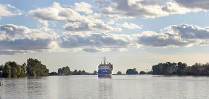 Un barco navega por el Guadalquivir a su paso por Coria del R&iacute;o.