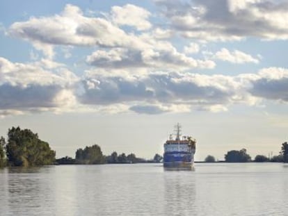 Un barco navega por el Guadalquivir a su paso por Coria del R&iacute;o.