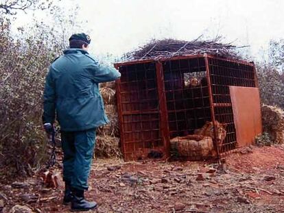 Un guardia civil señala la jaula con un león en la finca de Badajoz.