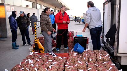 Pescadores cargan las &uacute;ltimas mallas de chirla en el puerto de Sanl&uacute;car antes del cierre del caladero.