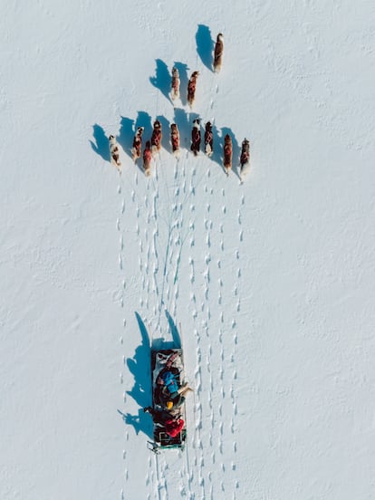En el Noroeste de Groenlandia se sigue manteniendo la tradición de usar los trineos de perros para los desplazamientos. Aunque son más lentos, también son más fiables que las motos de nieve en un terreno tan inestable como el hielo.