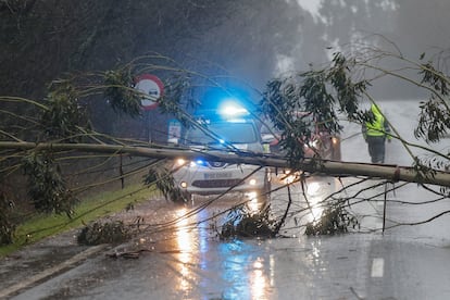 Un rbol, tumbado por el potente temporal 'Herminia', corta la carretera en Negreira, A Coru?a, el domingo.
