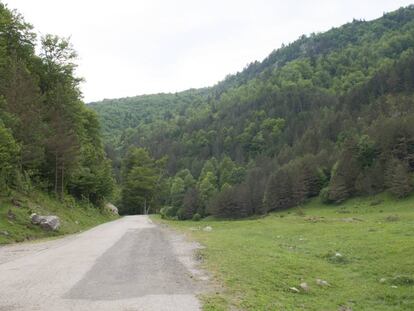 Para 2050 habr&aacute; 25 millones de kil&oacute;metros de carreteras pavimentadas adicionales en el planeta.