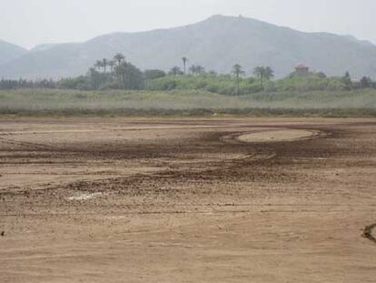 Terrenos de la finca Lo Poyo, donde está prevista una gran operación urbanística, en el Mar Menor (Murcia).