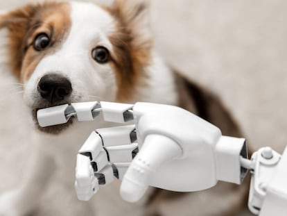 Los perros no entienden a los robots