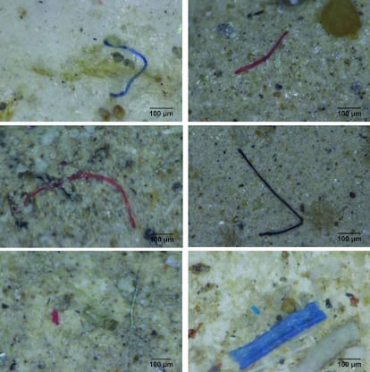 Microplásticos encontrados en el río Ebro