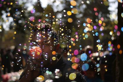 Pompas de colores en el zoo de Giza (Egipto) durante el Sham el-Nessim, fiesta que significa la llegada de la primavera.