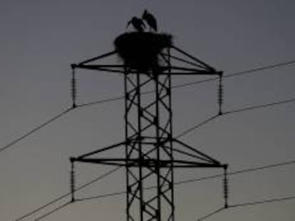 Dos cigüeñas permanecen en el nido de la torre de un tendido eléctrico.