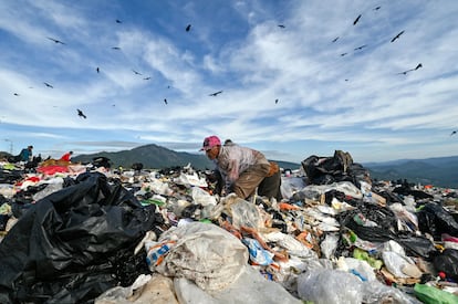 Homem revira lixo em Tegucigalpa, em novembro de 2021.