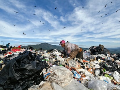 Homem revira lixo em Tegucigalpa, em novembro de 2021.