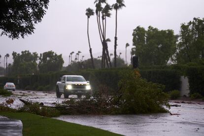  Cars move past downed trees that partially block a road as Tropical Storm Hilary arrives in Cathedral City, California.