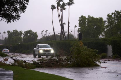 Cars move past downed trees that partially block a road as Tropical Storm Hilary arrives in Cathedral City, California.