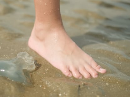 Las medusas pueden aparecer en las playas y picar a los bañistas. GETTY IMAGES.